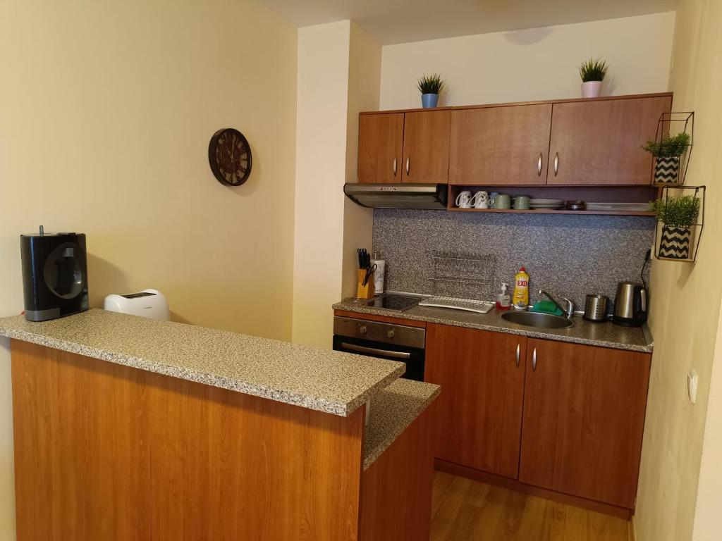 Bansko Apartment Predela the One
